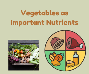 Vegetables as Important Nutrients