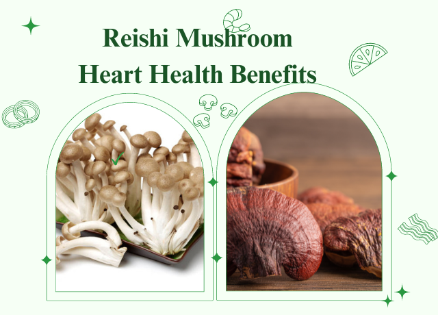 Reishi Mushroom Heart Health Benefits