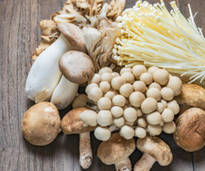 How to Include Mushrooms in Your Diet